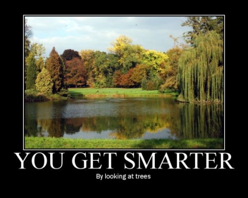 n500385269_1181042_7105 n500385269_1181042_7105